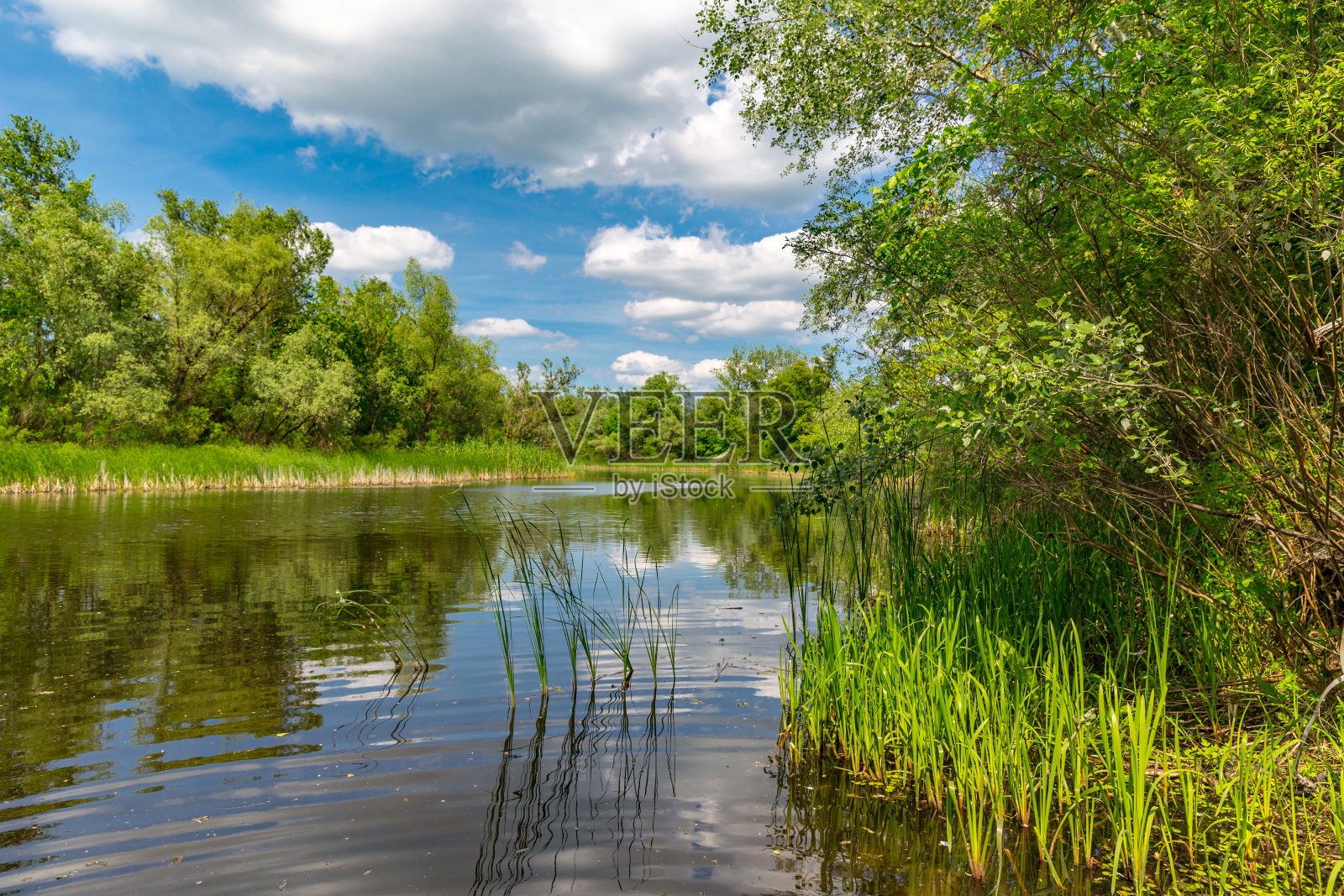 河上美丽的夏日景色照片摄影图片