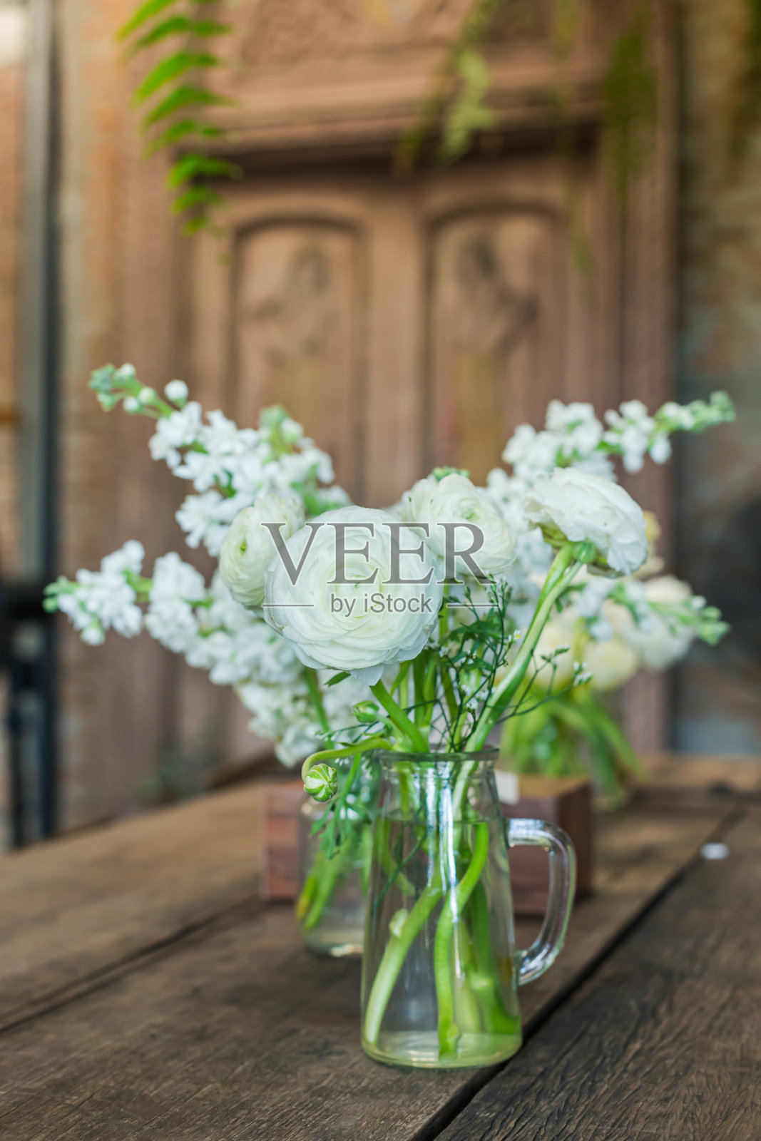 白色的花朵照片摄影图片