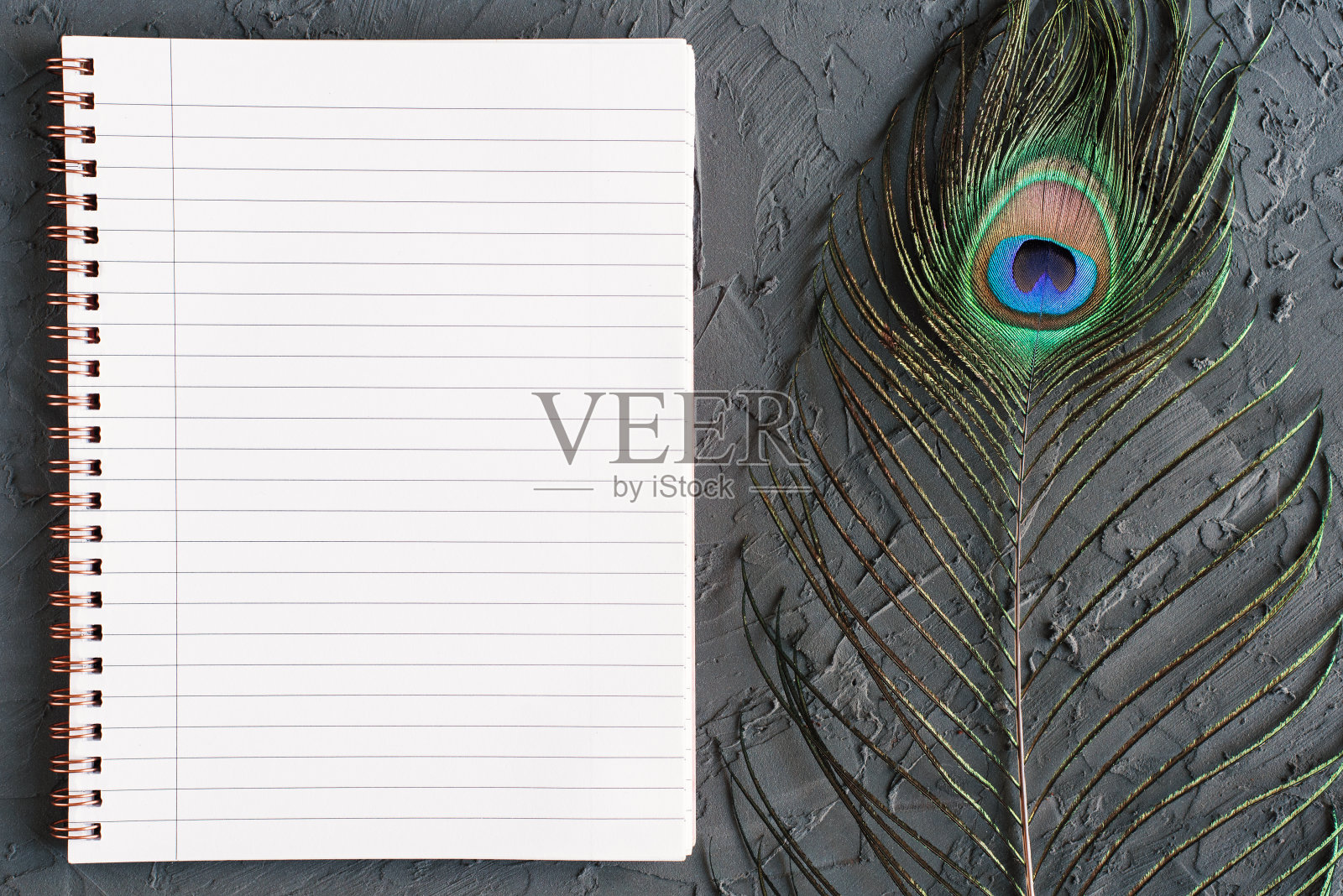 混凝土背景上带有干净页面和孔雀羽毛的笔记本，俯视图照片摄影图片