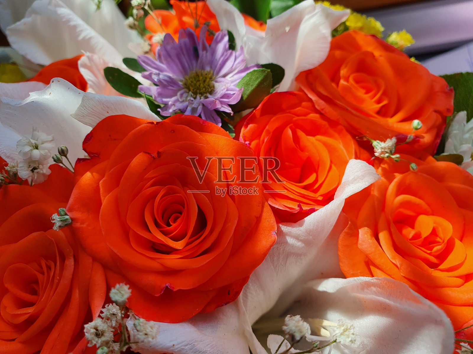 漂亮的橙色玫瑰和花束。花瓶里的花。阳光洒在花朵上照片摄影图片