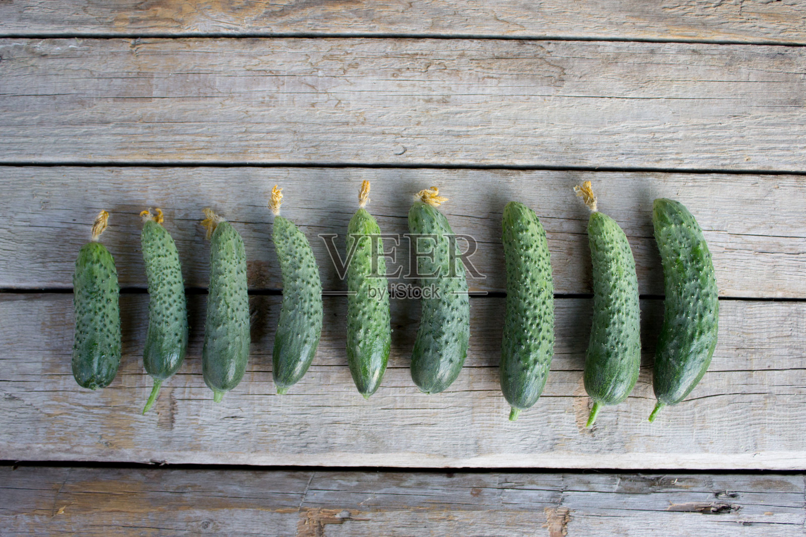 木背景黄瓜，收获黄瓜照片摄影图片