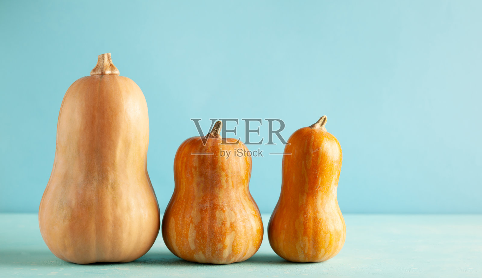 白胡桃南瓜南瓜在淡蓝色的背景照片摄影图片