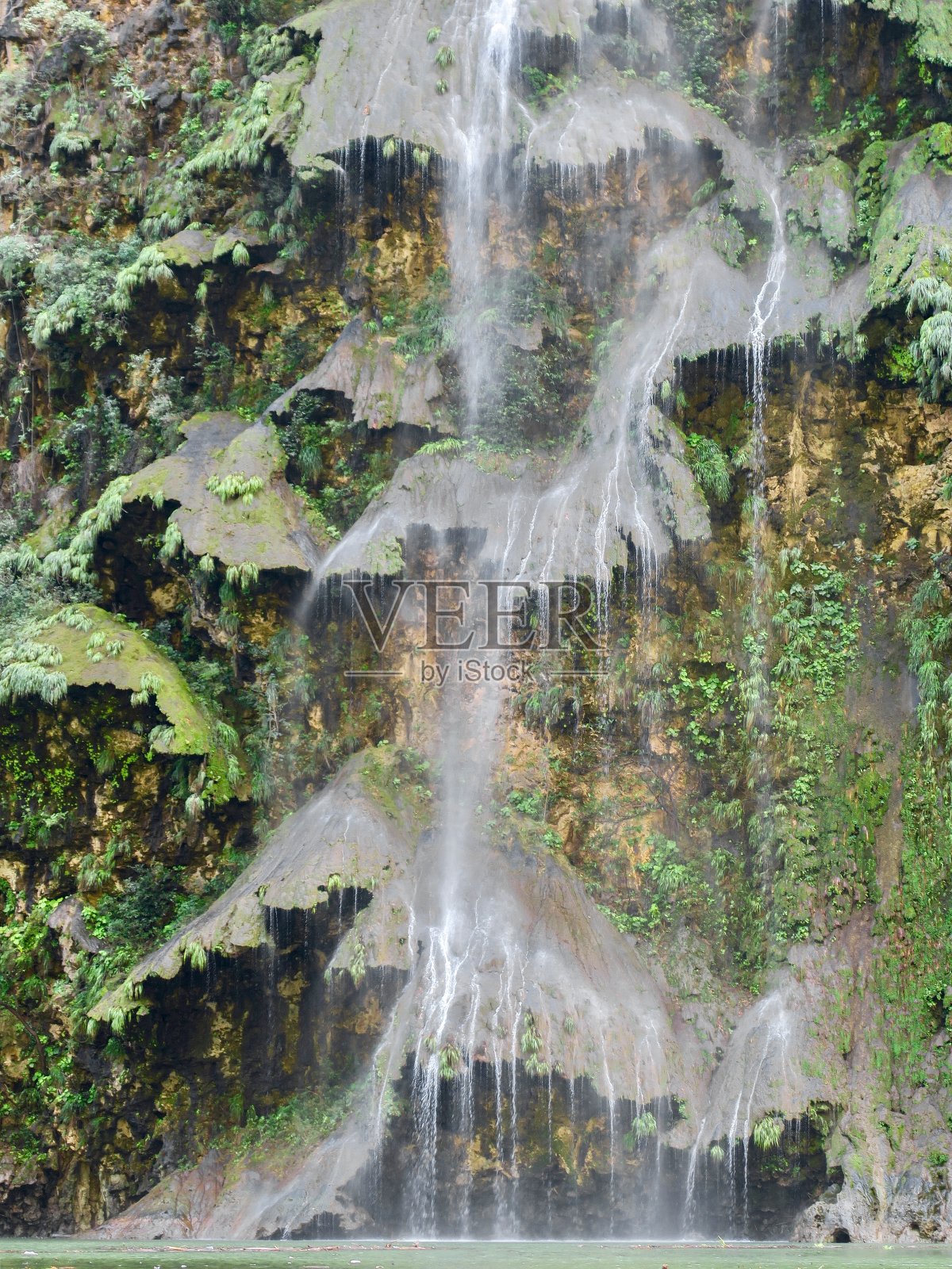圣诞树瀑布照片摄影图片