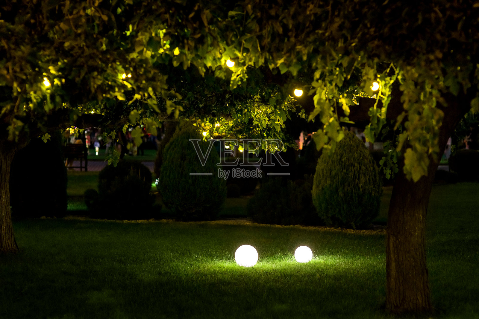 照亮后院的灯光花园2个地灯与圆形漫射灯和花环的灯泡在树枝与树叶，暗景观与照亮夜景，没有人。照片摄影图片