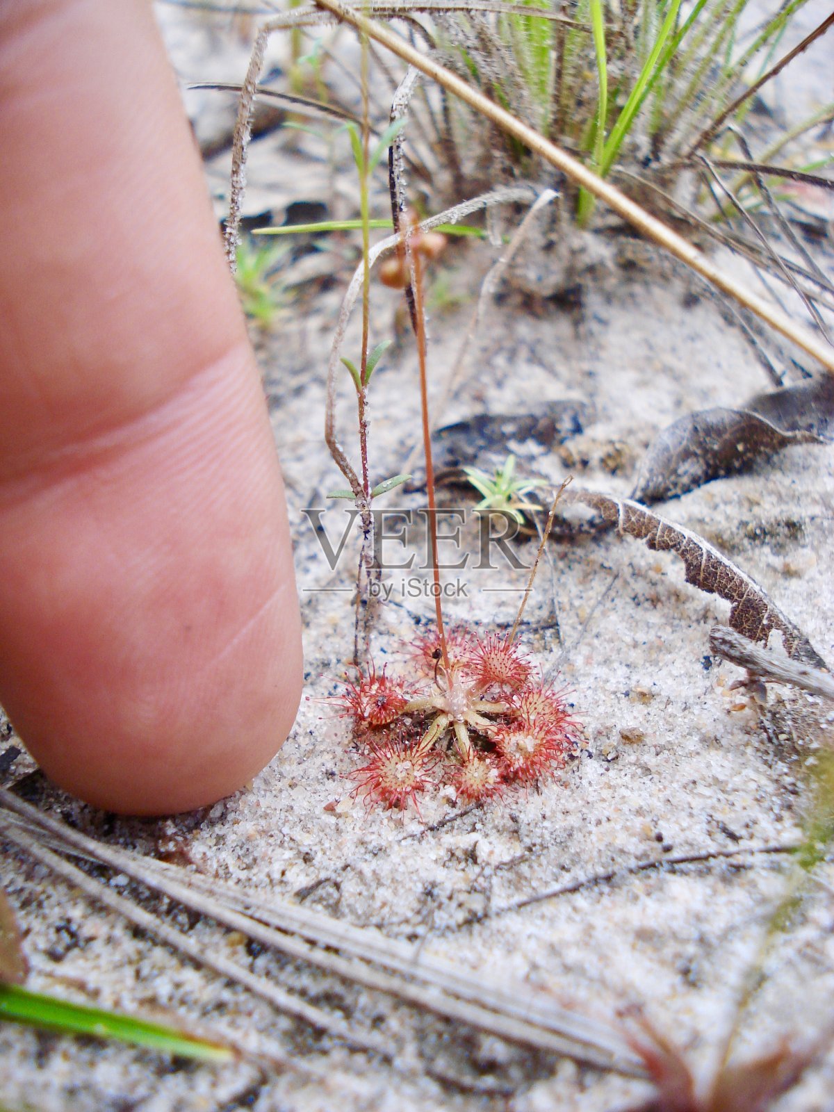 一个小工厂照片摄影图片