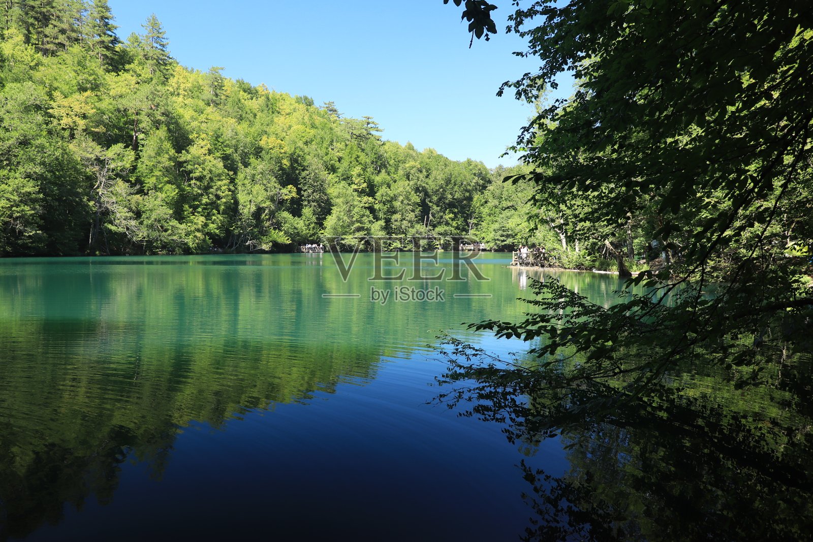 环礁湖照片摄影图片