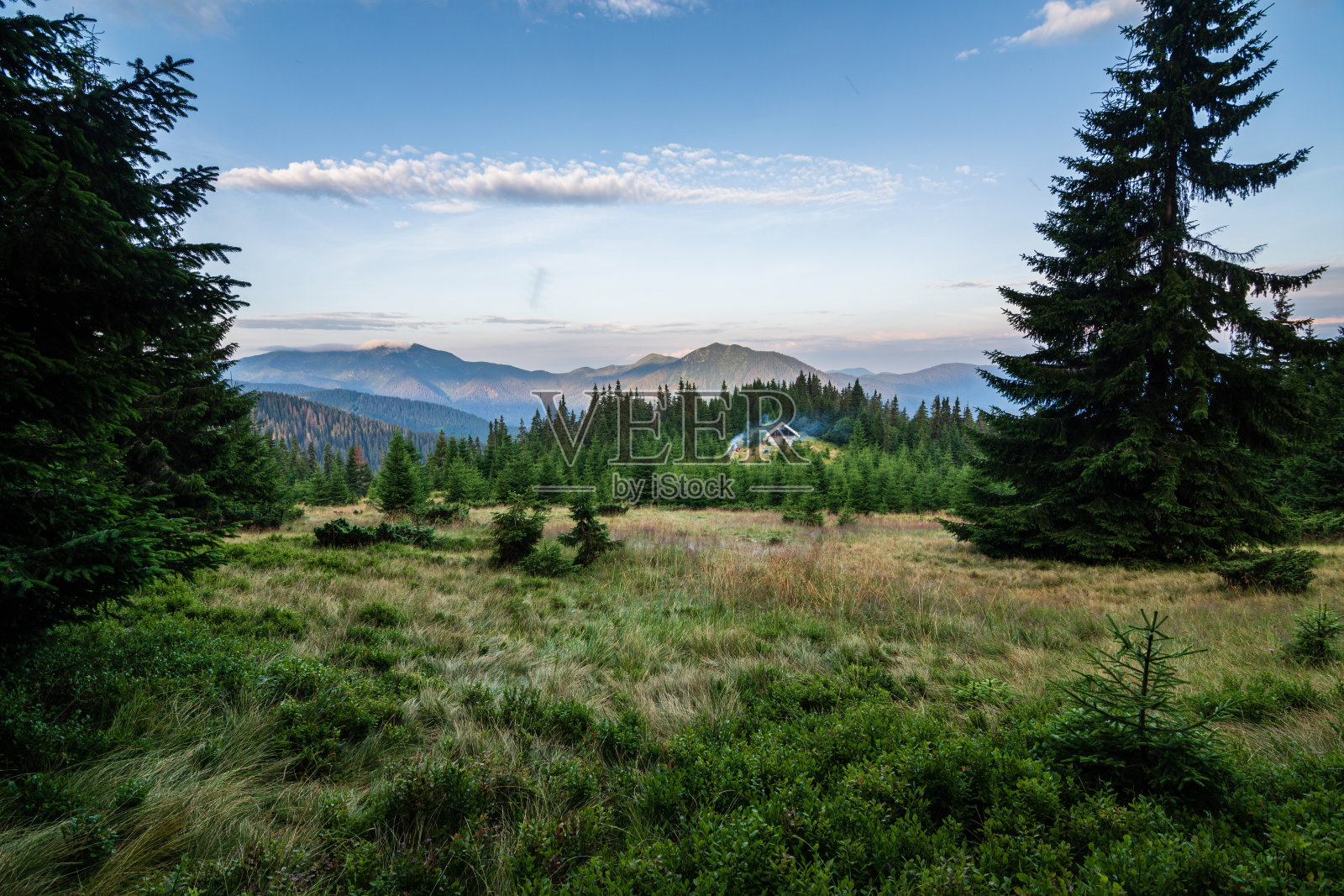 乌克兰喀尔巴阡山脉的一个雾蒙蒙的早晨。山上的老木屋。乌克兰喀尔巴阡云杉森林。照片摄影图片