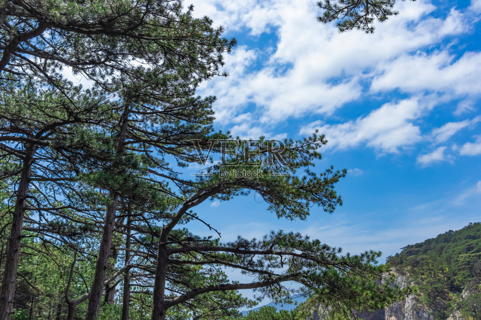 乌奇-科什峡谷美丽的风景意为“三座山”。照片摄影图片