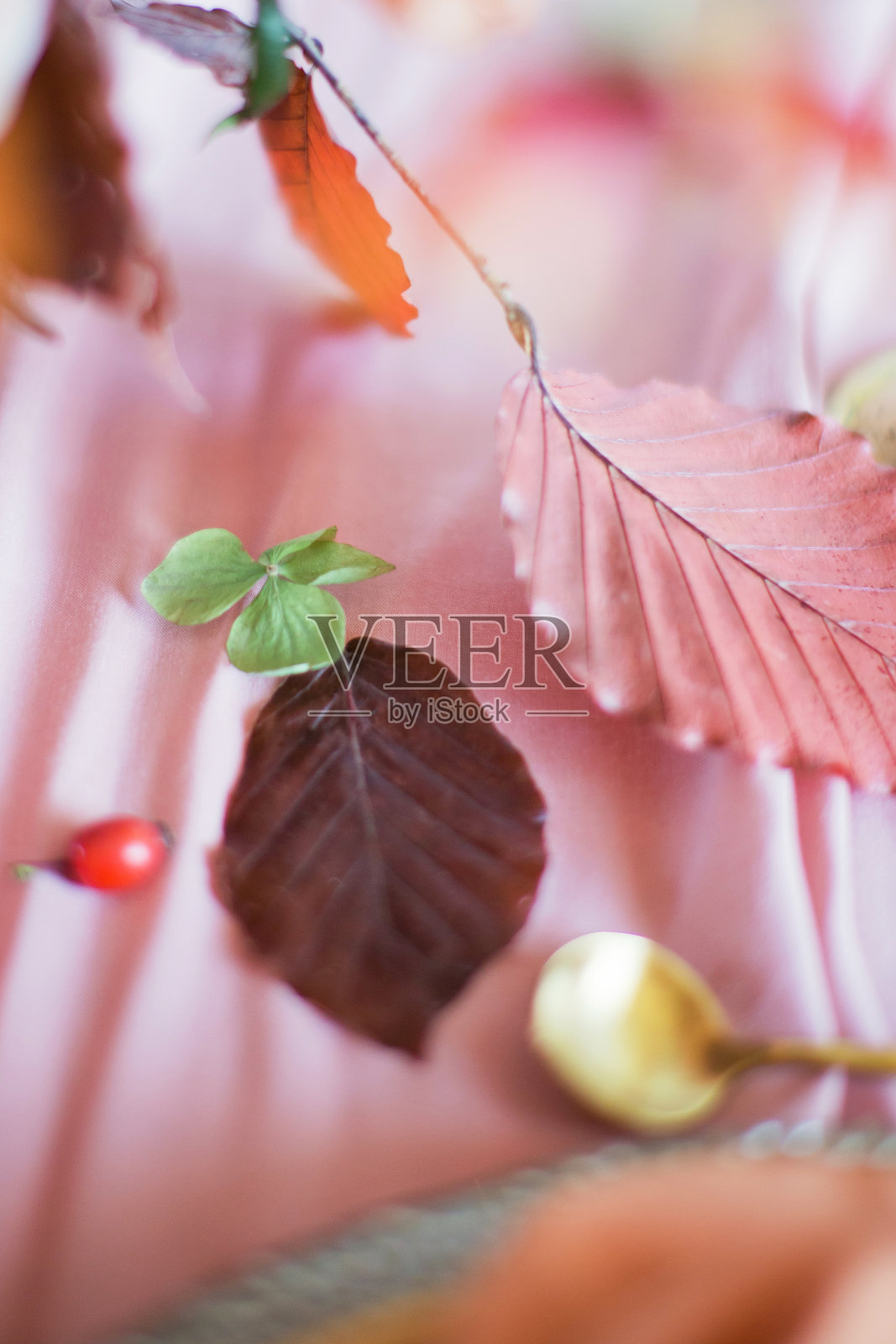 美丽的餐桌布置与秋叶照片摄影图片