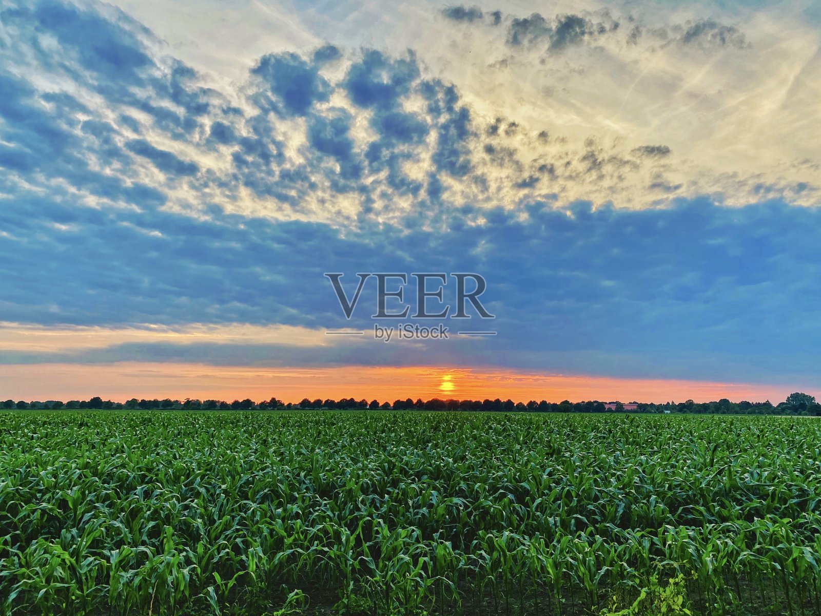 日落照片摄影图片