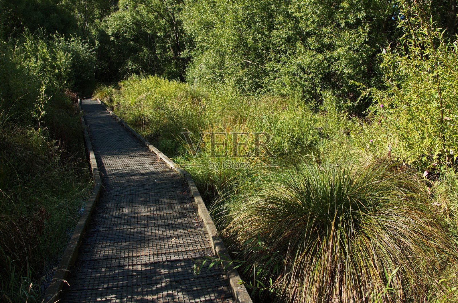 新西兰南岛奥塔哥阿罗镇附近海耶斯湖的海耶斯湖人行道照片摄影图片
