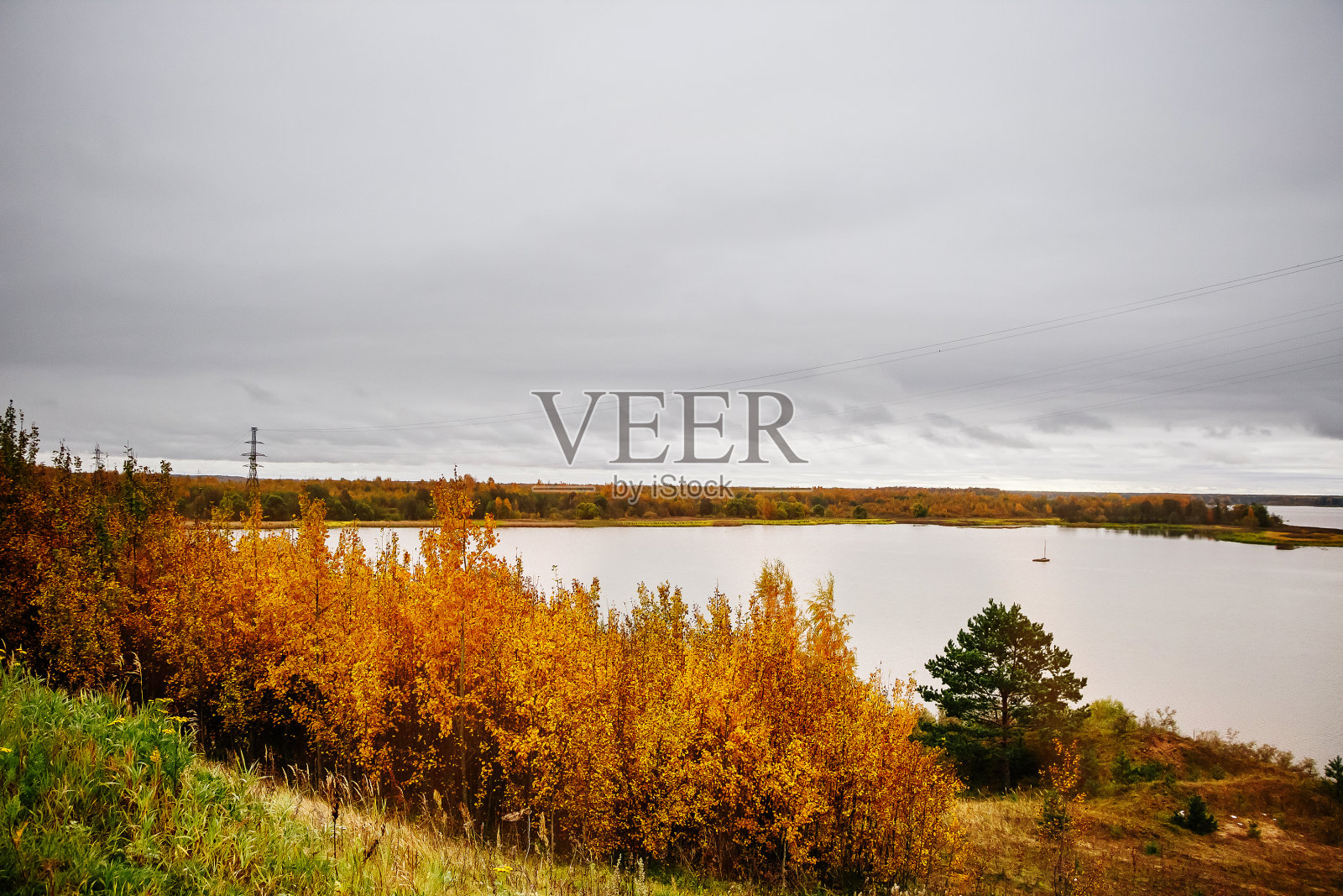 美丽的秋景，黄树河边照片摄影图片