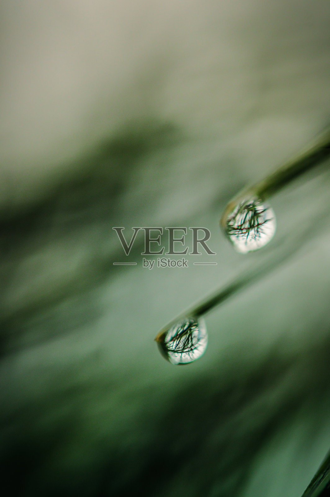 雨滴照片摄影图片