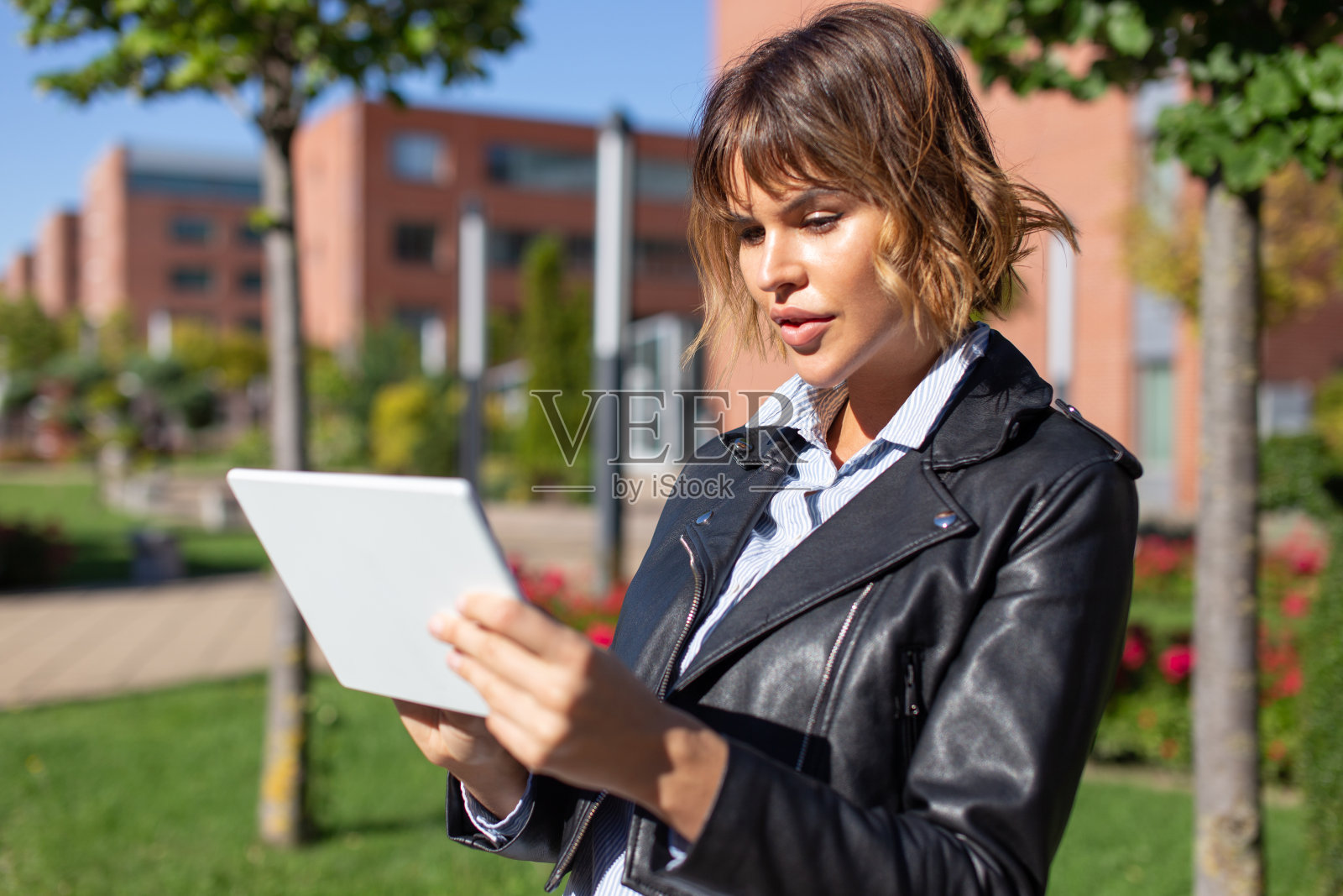 年轻的城市女性在公园使用数字平板电脑照片摄影图片