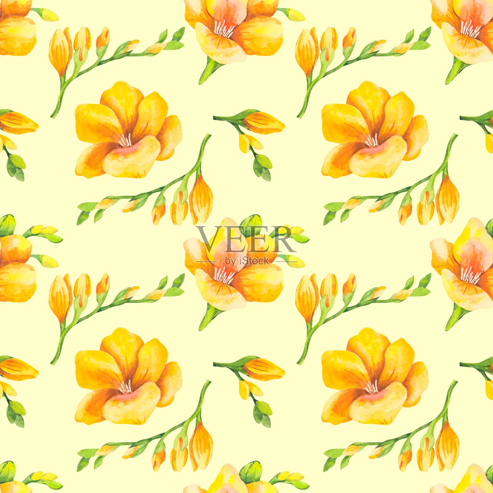 水彩无缝模式的黄色小苍兰花。插画图片素材