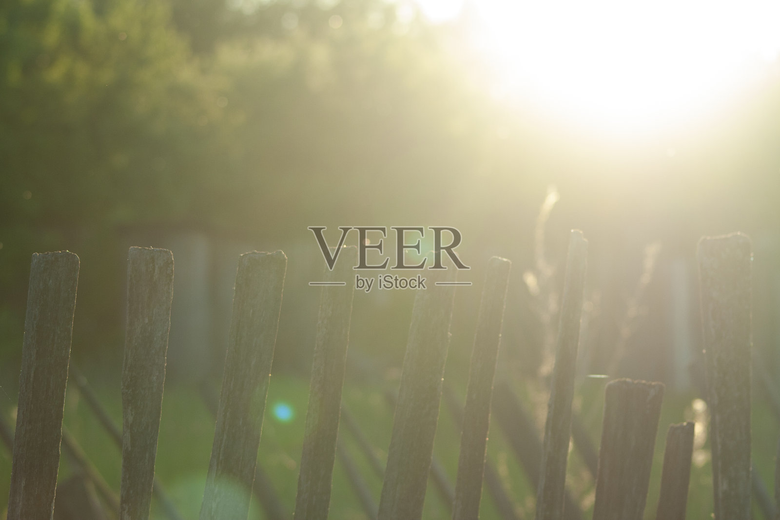 后面的旧木栅栏在阳光的照耀下美丽而大气。乡村户外大气照片摄影图片