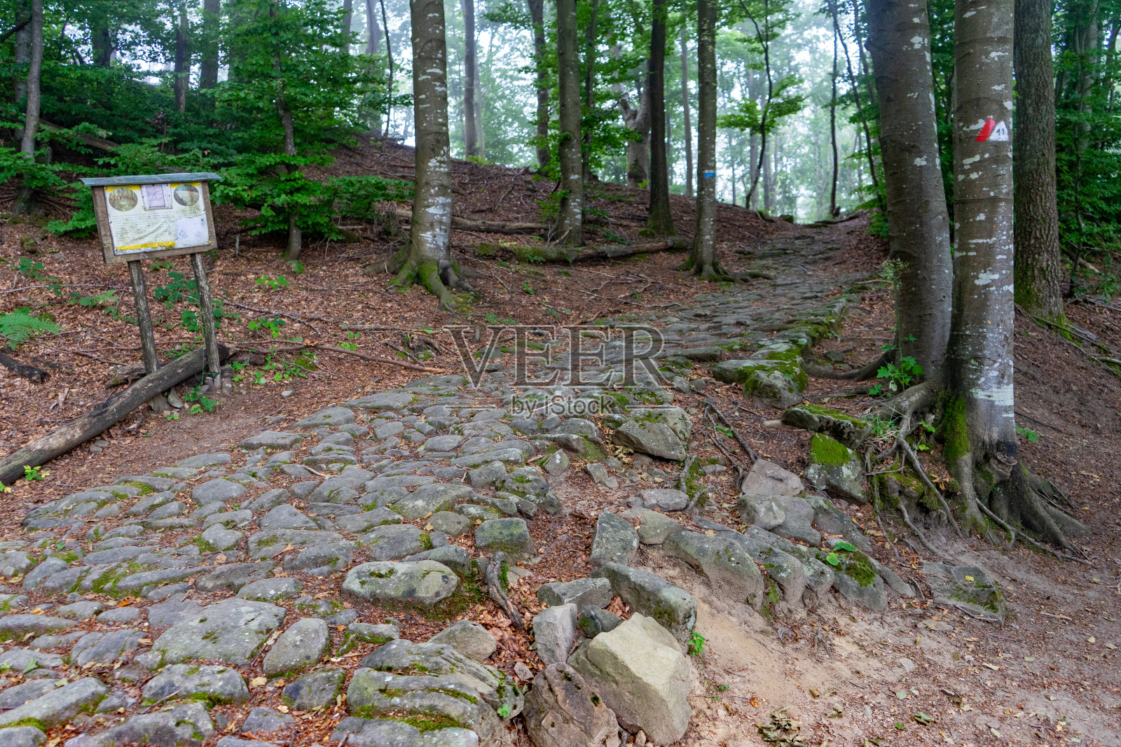 意大利，罗马涅，博洛尼亚，众神之路照片摄影图片