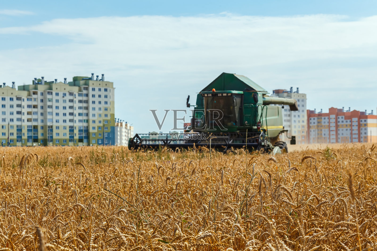 田间的谷物、小麦和联合收割机为背景照片摄影图片