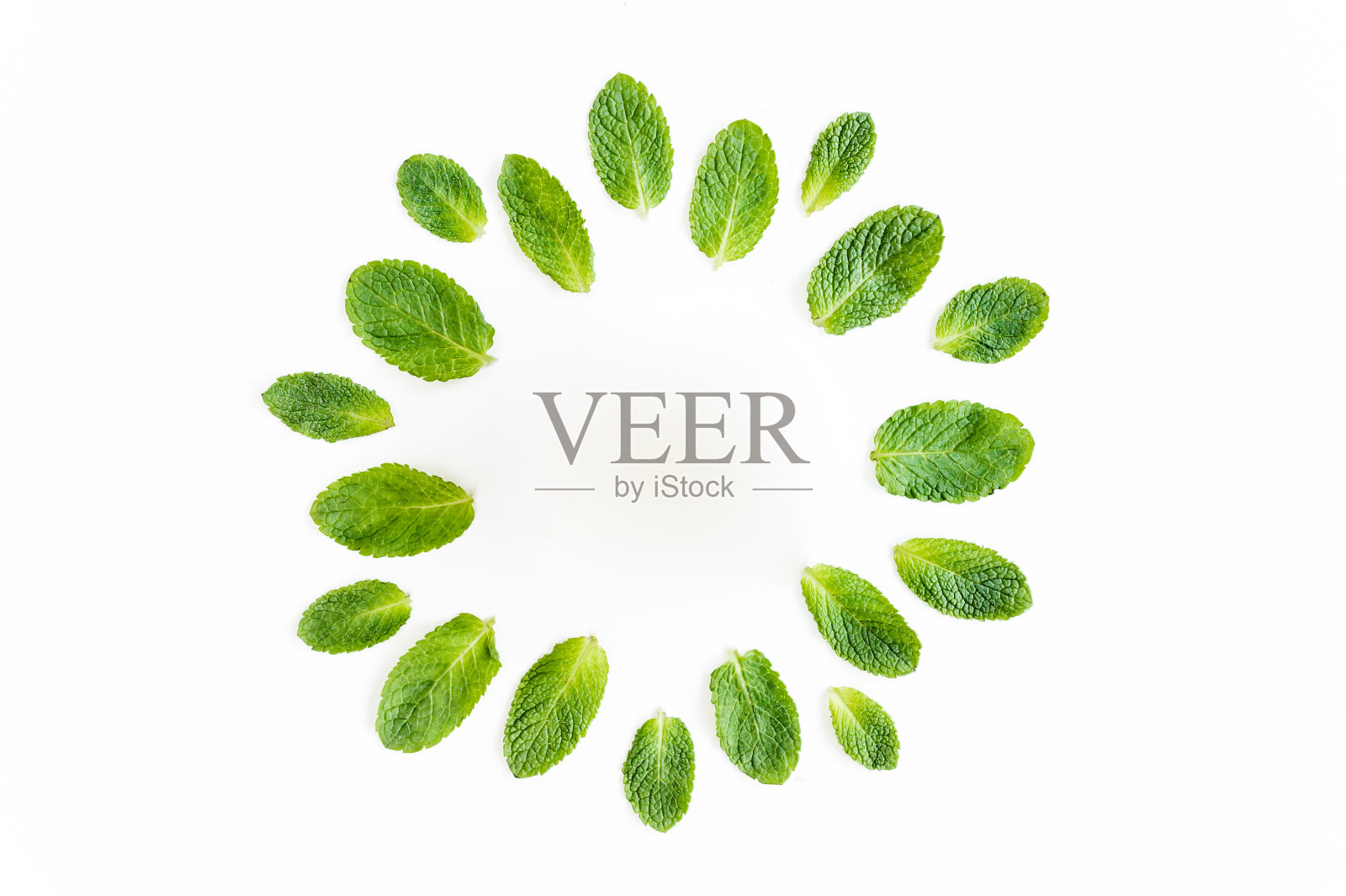 花环框架由薄荷叶孤立在白色背景。薄荷。薄荷的模式。平的。俯视图照片摄影图片