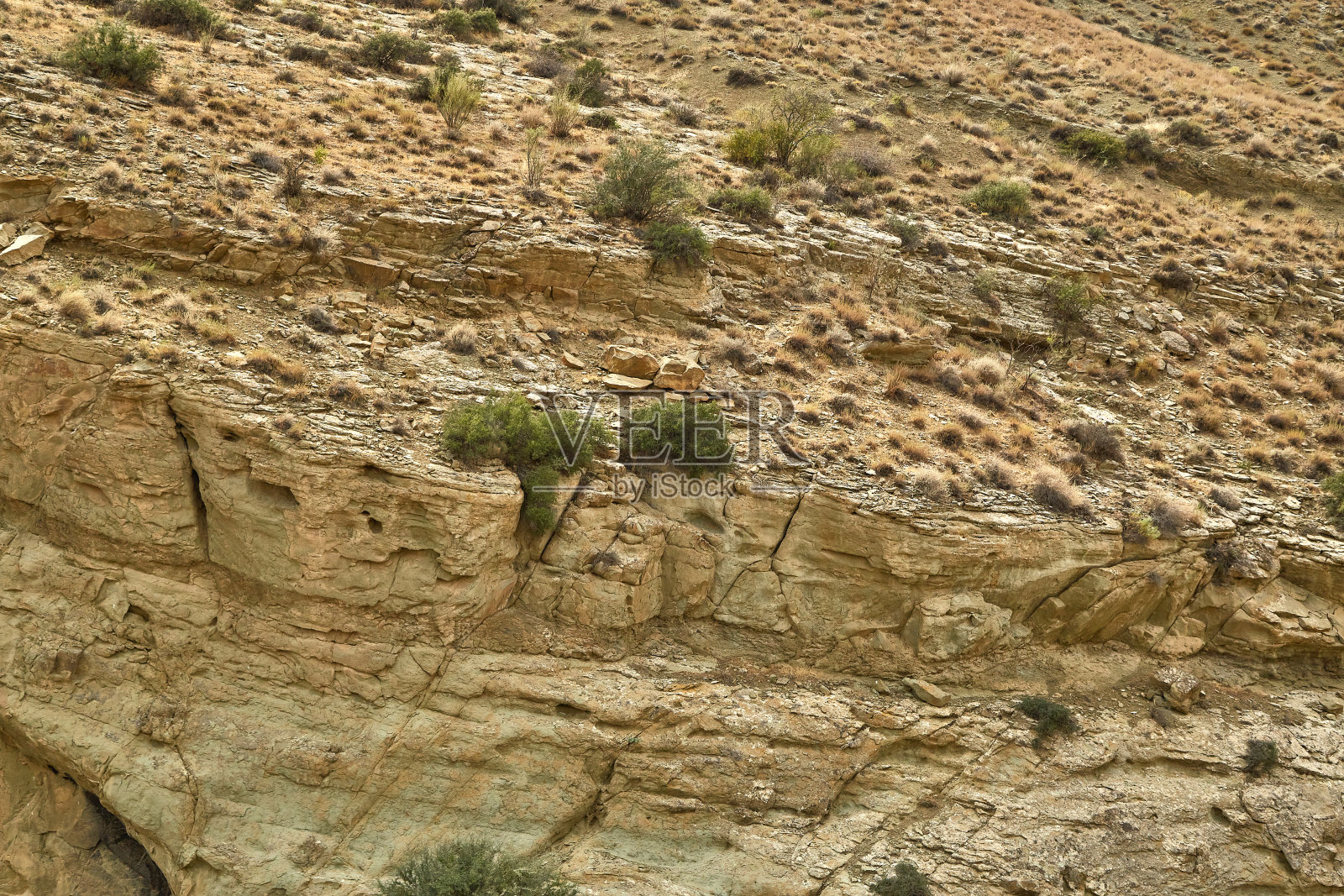 在亚洲山区没有雨水的沙质表面和干燥的植物照片摄影图片