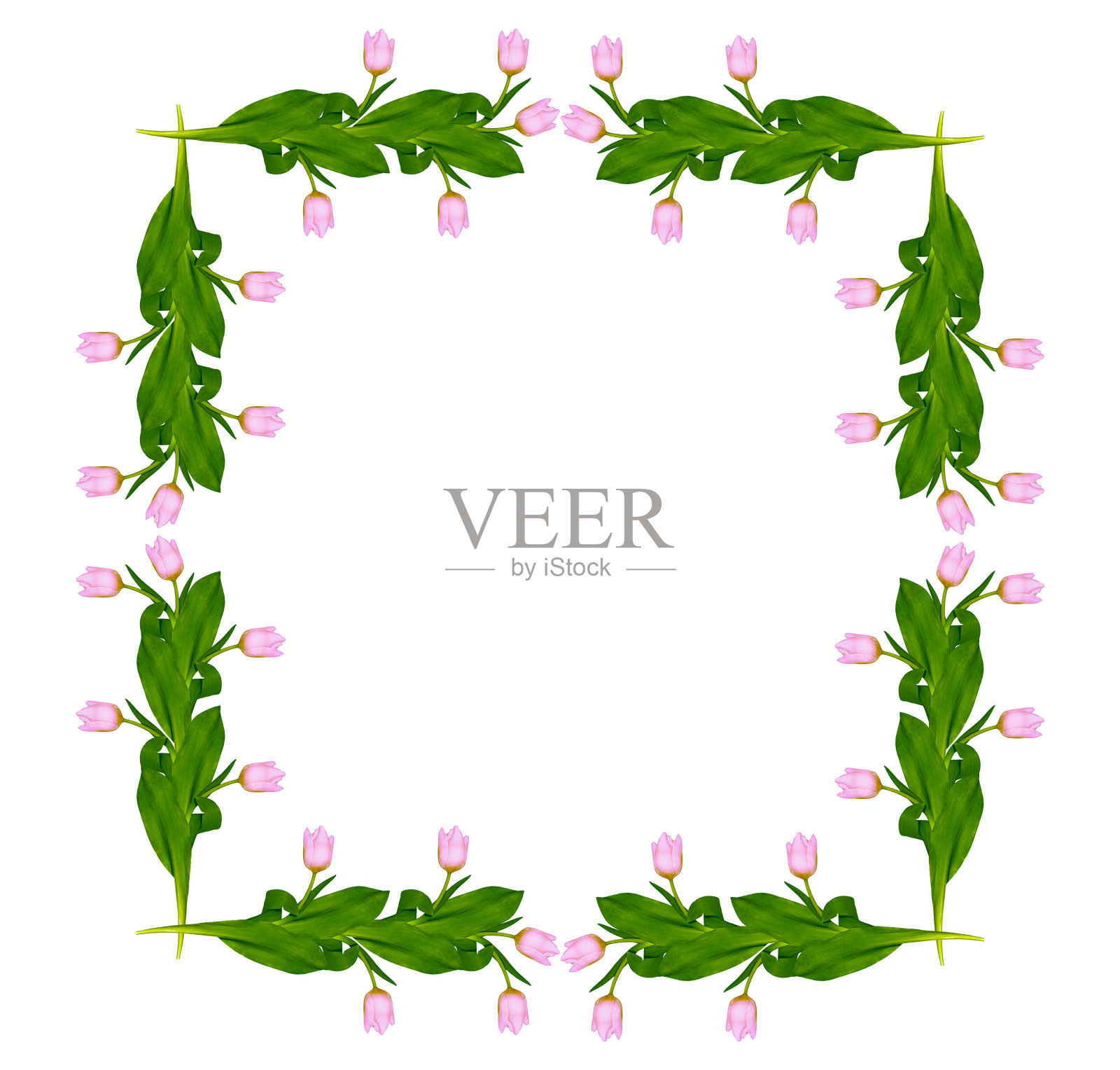 春天的花朵照片摄影图片