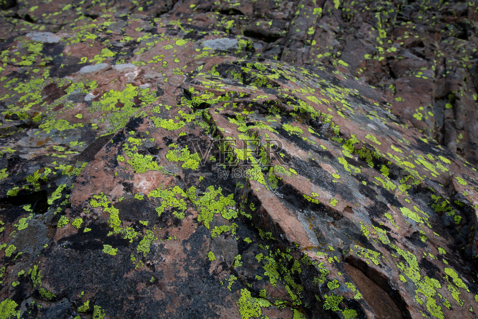 洋基男孩盆地照片摄影图片
