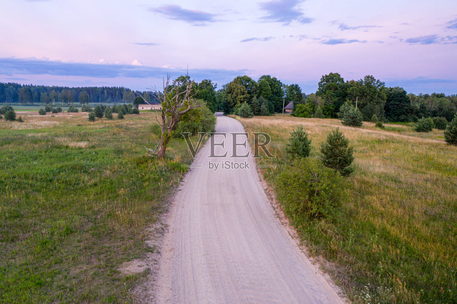日落时分，路边有一棵枯树和一条砾石路照片摄影图片