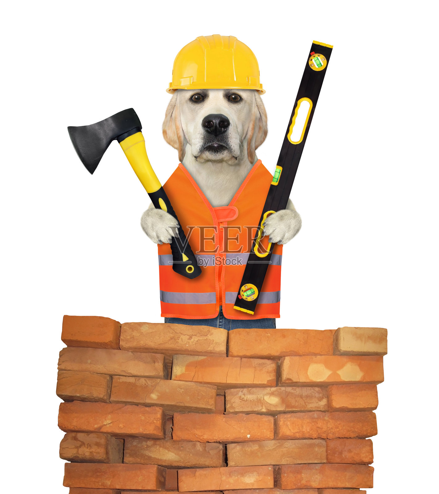 狗建设者持有水平和斧头2照片摄影图片