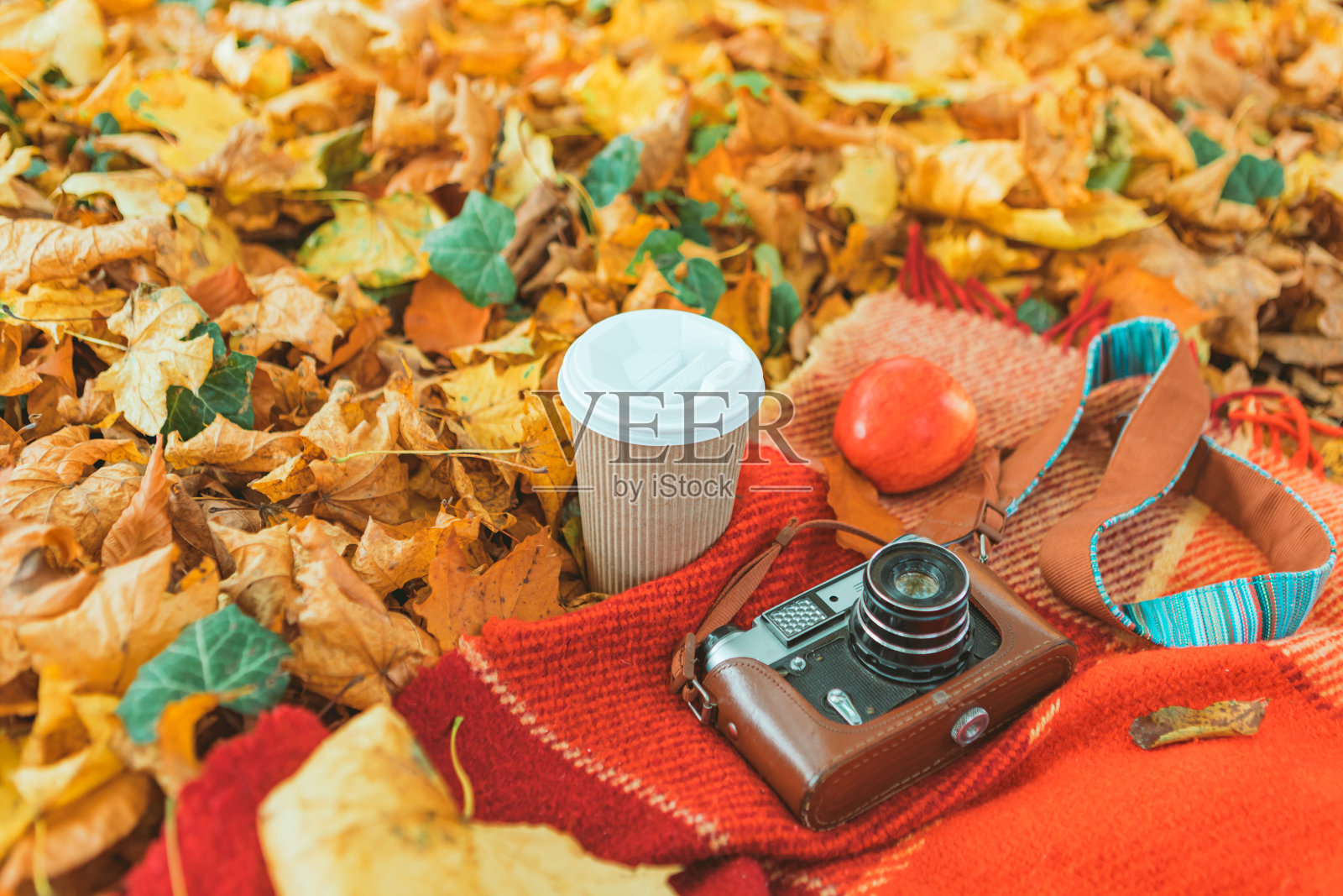 红苹果，咖啡杯，黄叶毯子上的书照片摄影图片