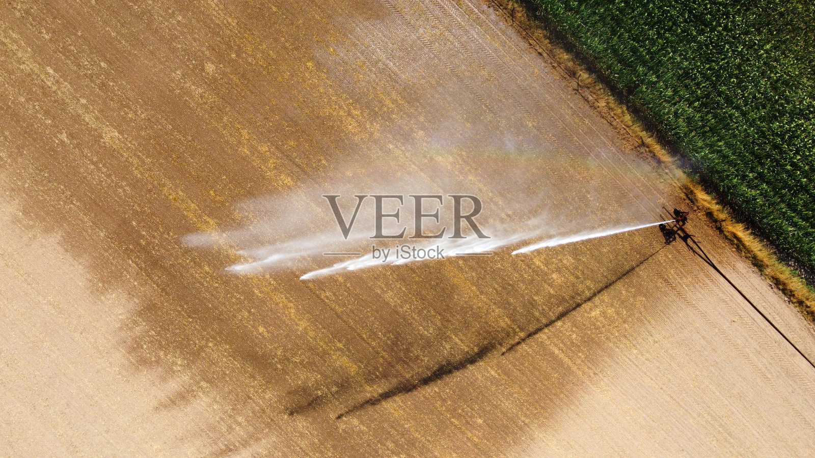 夏季灌溉玉米照片摄影图片