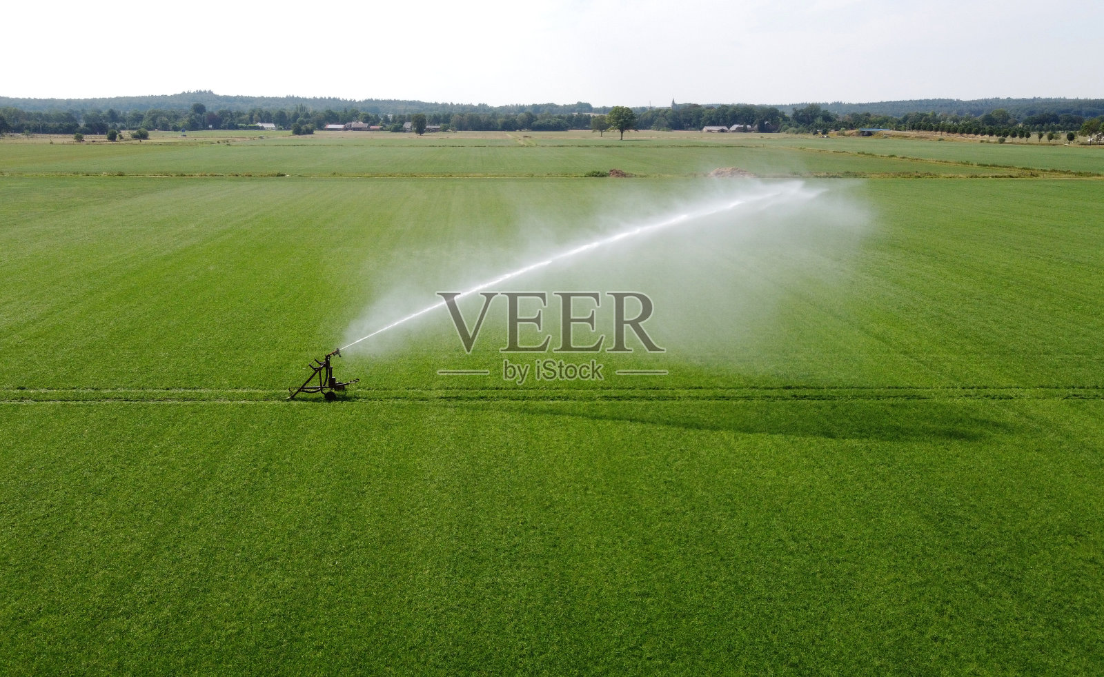 在夏天灌溉草地照片摄影图片