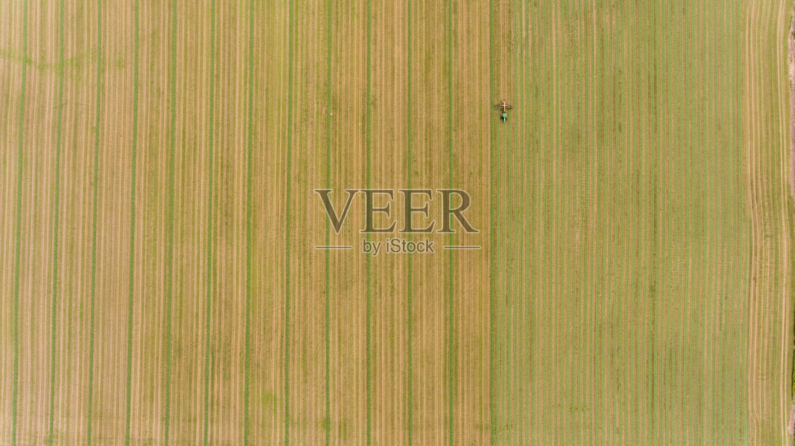 2020年威斯康辛州北部的第四次干草作物照片摄影图片