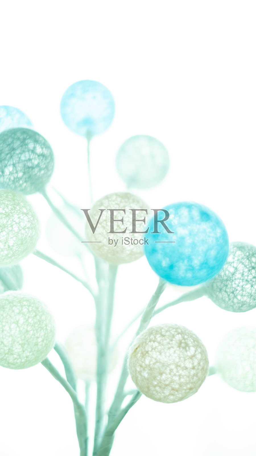 光树照片摄影图片