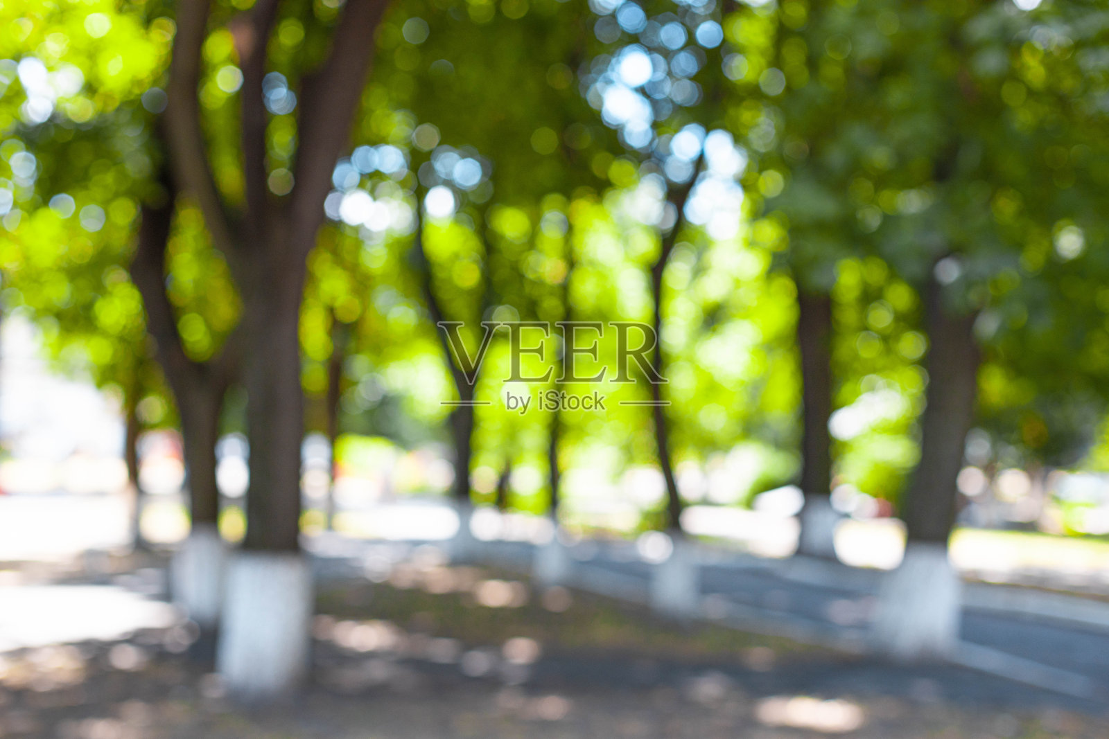 秋天的小镇小巷以绿树为背景照片摄影图片