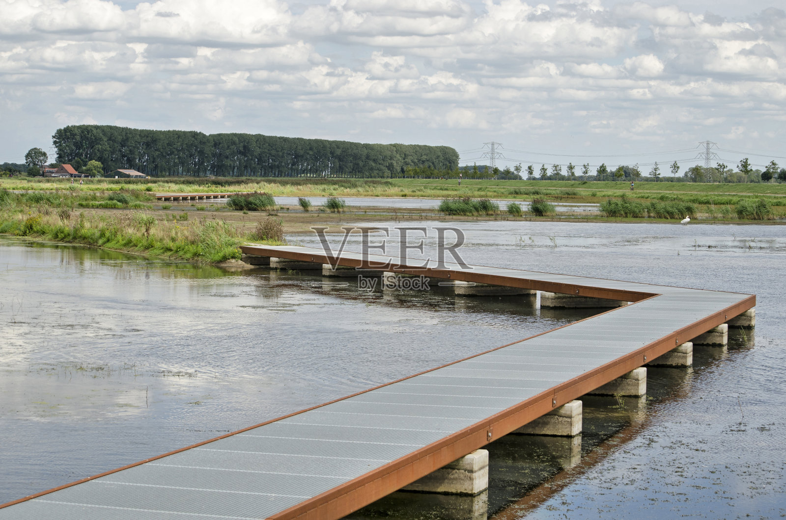 湿地上的人行道照片摄影图片