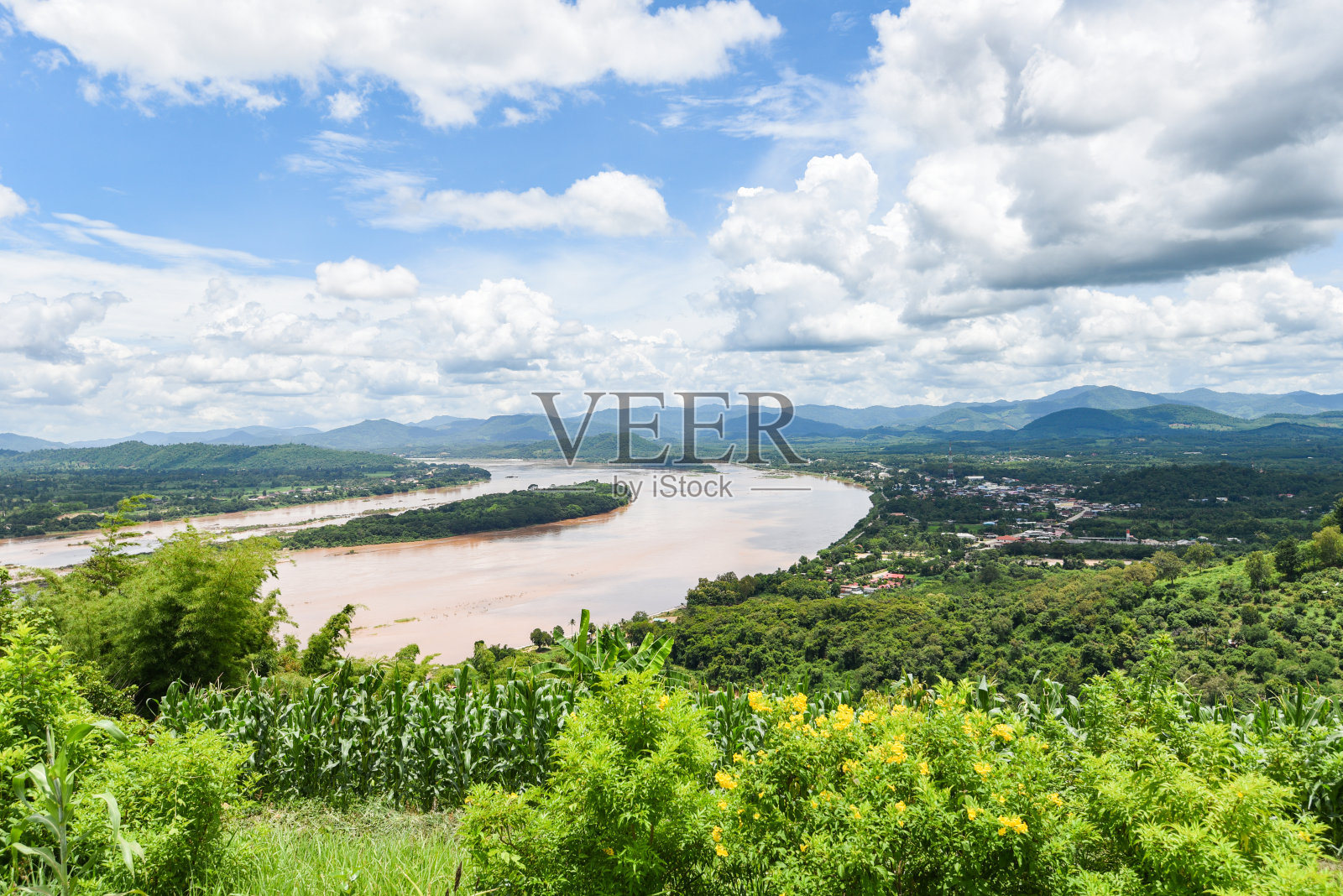 泰国美丽的乡村全景-以河流和蓝天为背景的山地植物和黄花照片摄影图片