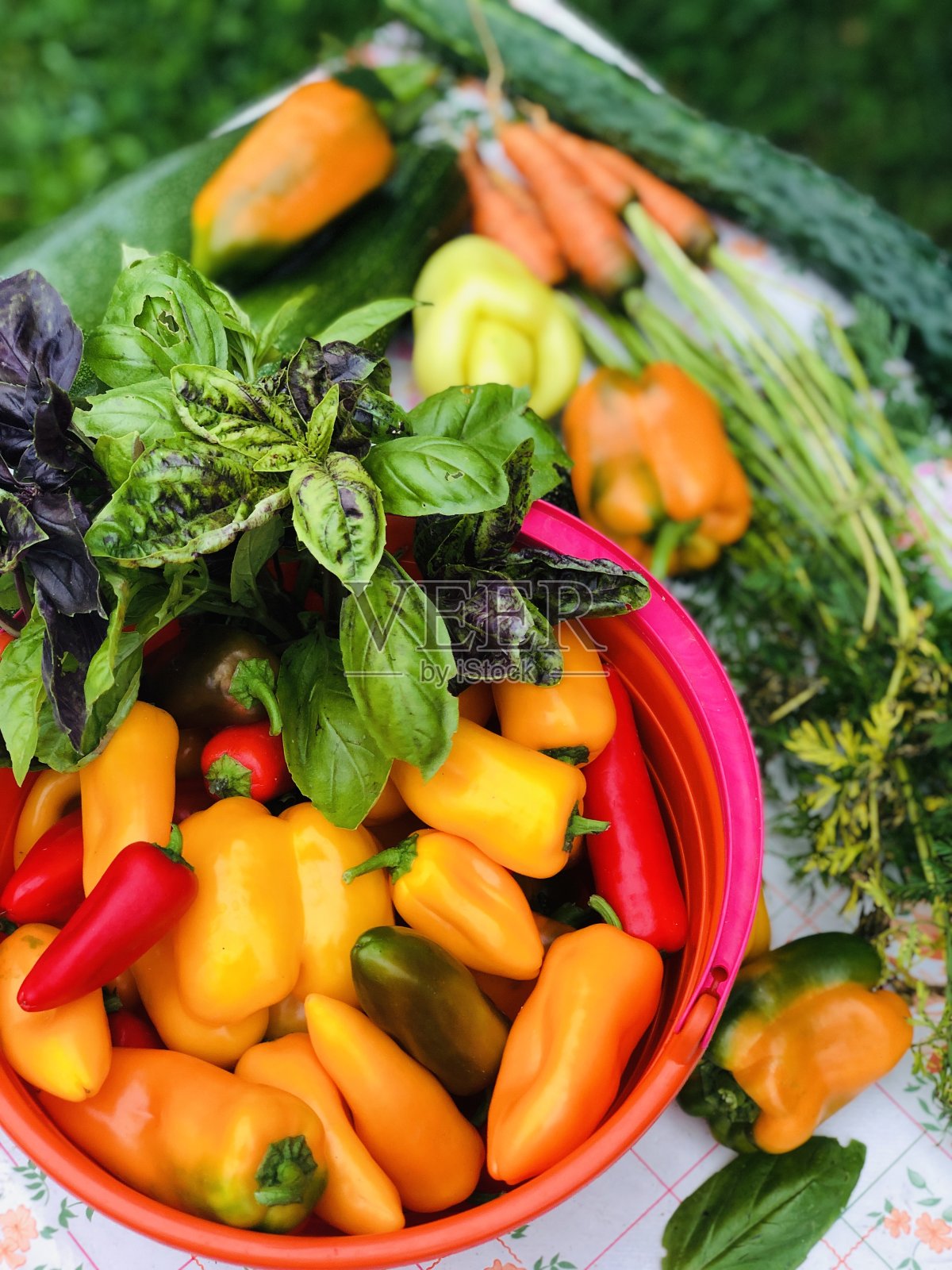 新鲜蔬菜，甜椒，罗勒，胡萝卜。蔬菜中的天然维生素。从他的花园里收获照片摄影图片