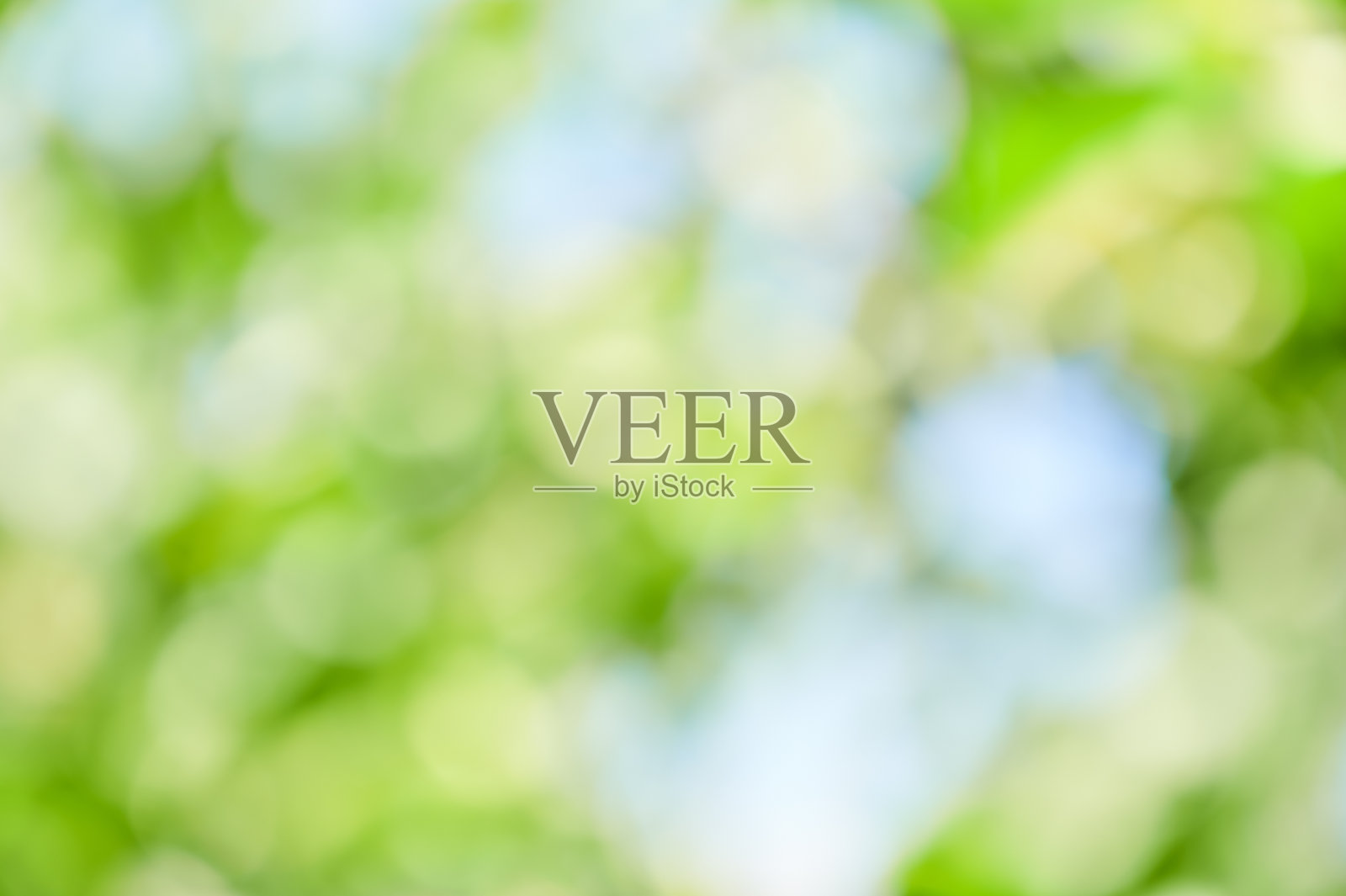 鲜绿背景照片摄影图片