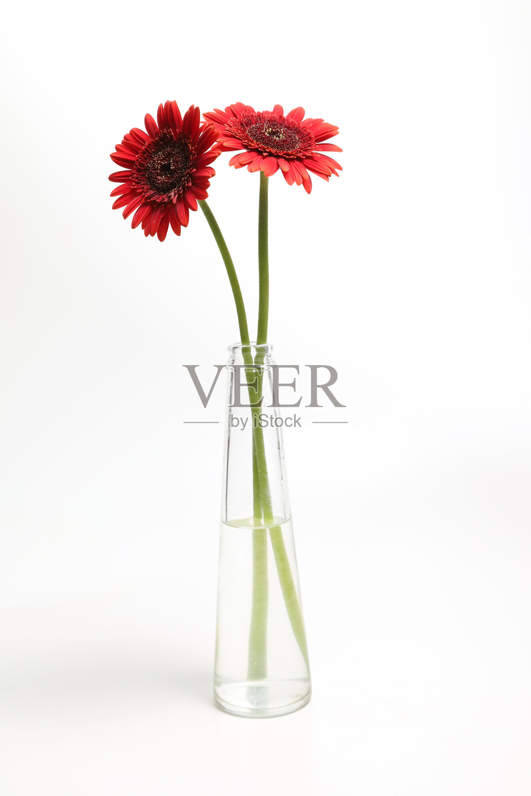 玻璃瓶里的几瓶德兰士瓦酒照片摄影图片