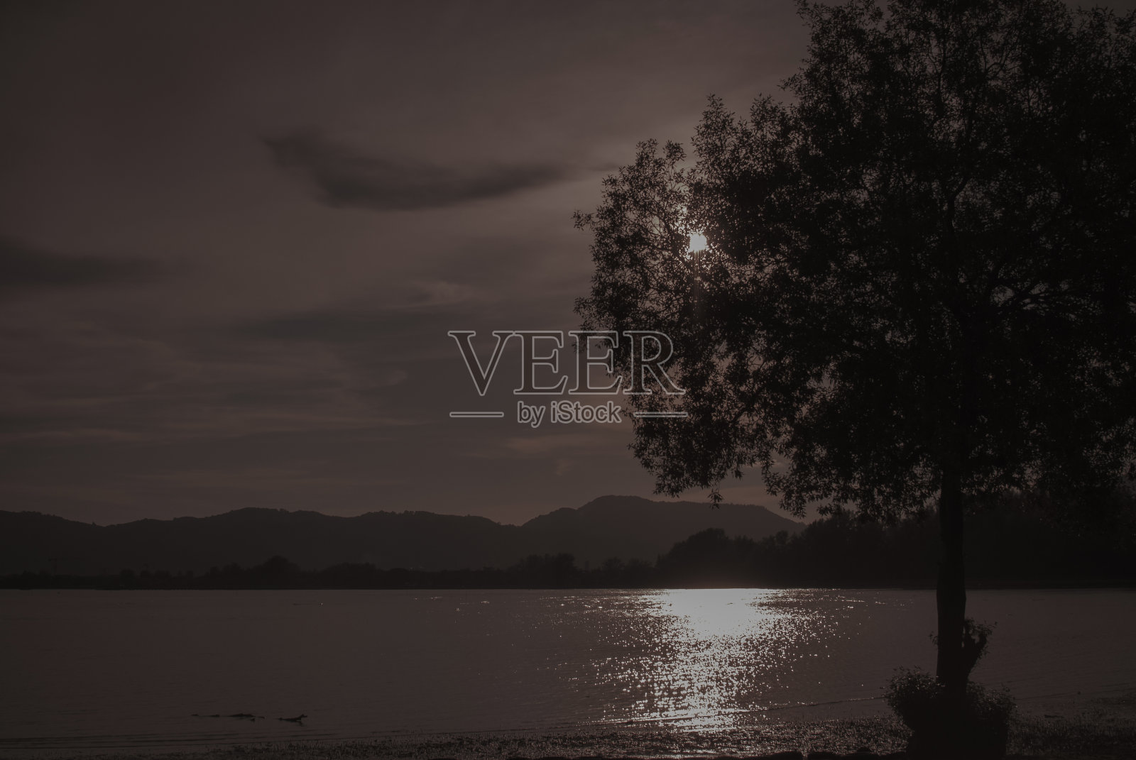 海水与阳光反射的抽象艺术设计背景，树在右侧，复古而艺术的色调，浪漫而祥和照片摄影图片