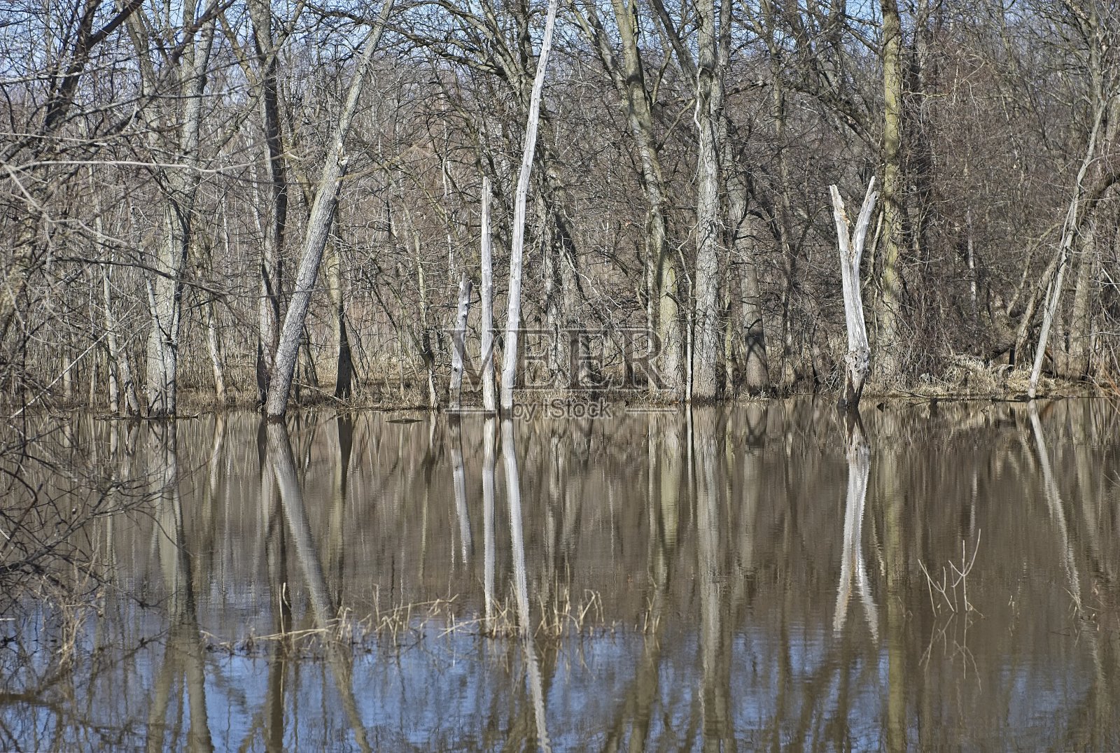 白天的平静思考照片摄影图片