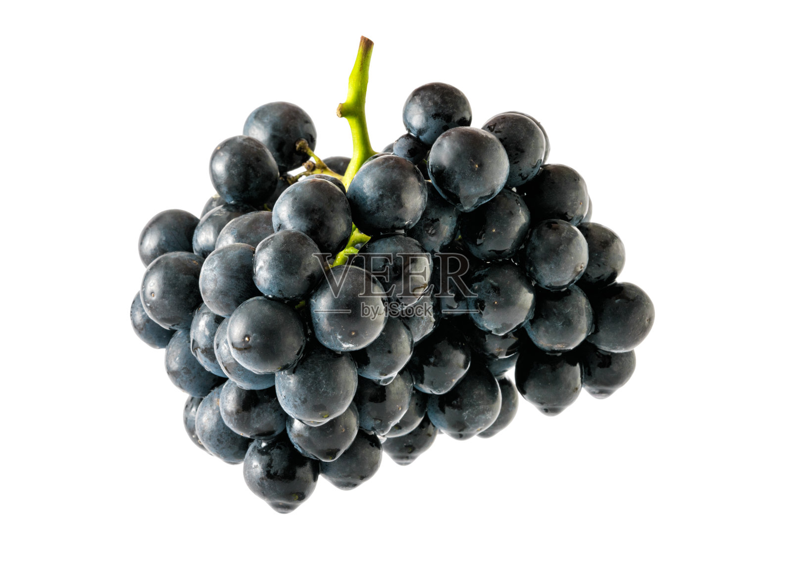 白色背景上的黑葡萄照片摄影图片