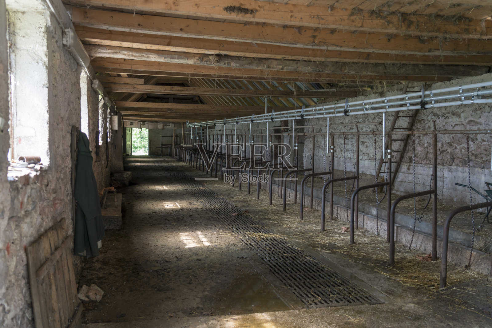 空牛谷仓照片摄影图片