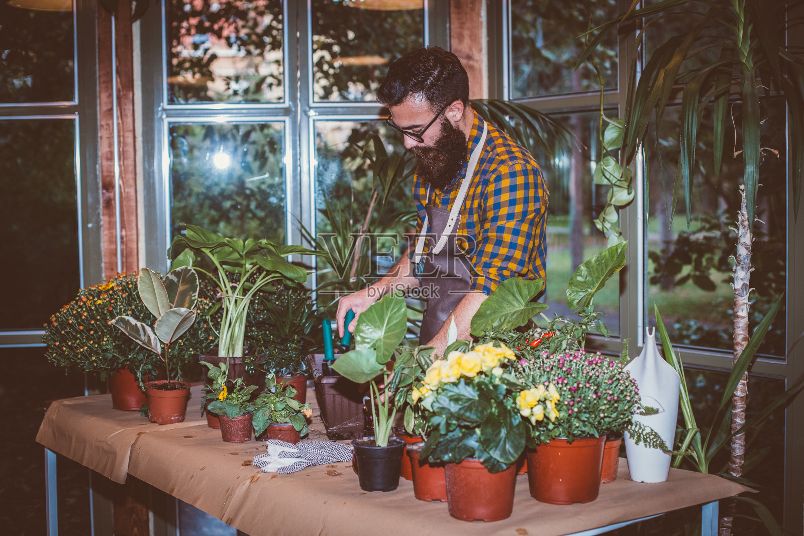 花店种植工作站照片摄影图片