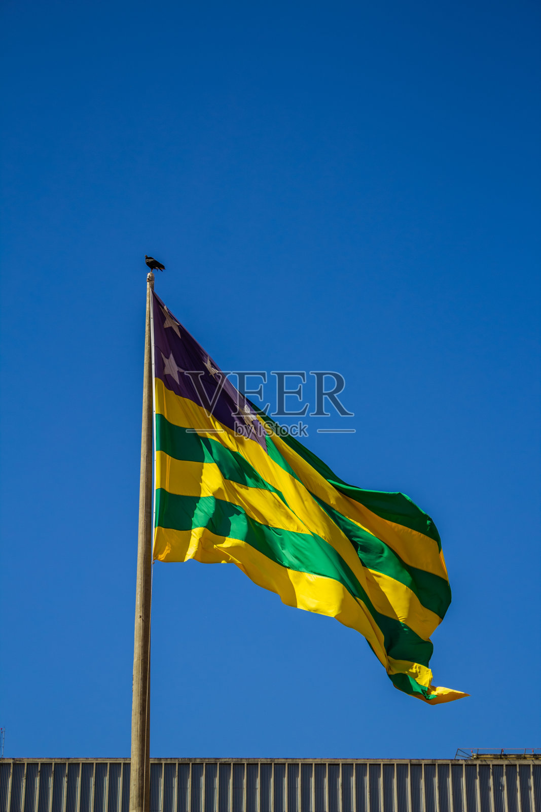 Goiás州旗。照片摄影图片