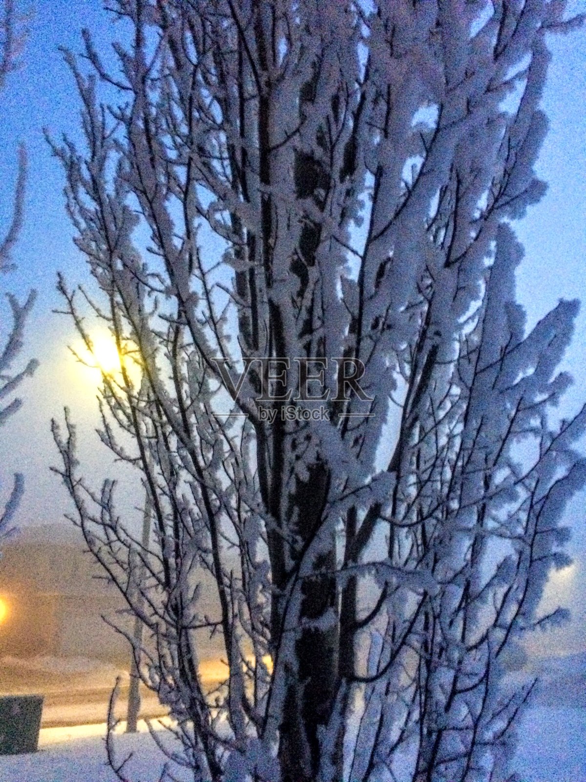 瑞典阿斯彭2照片摄影图片