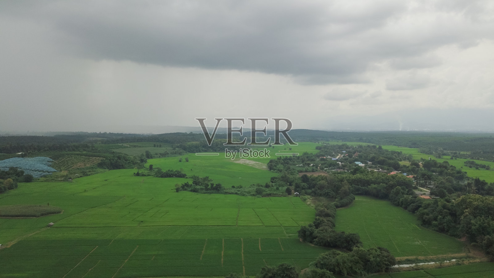 自然背景的棕榈树和景观从俯视图照片摄影图片