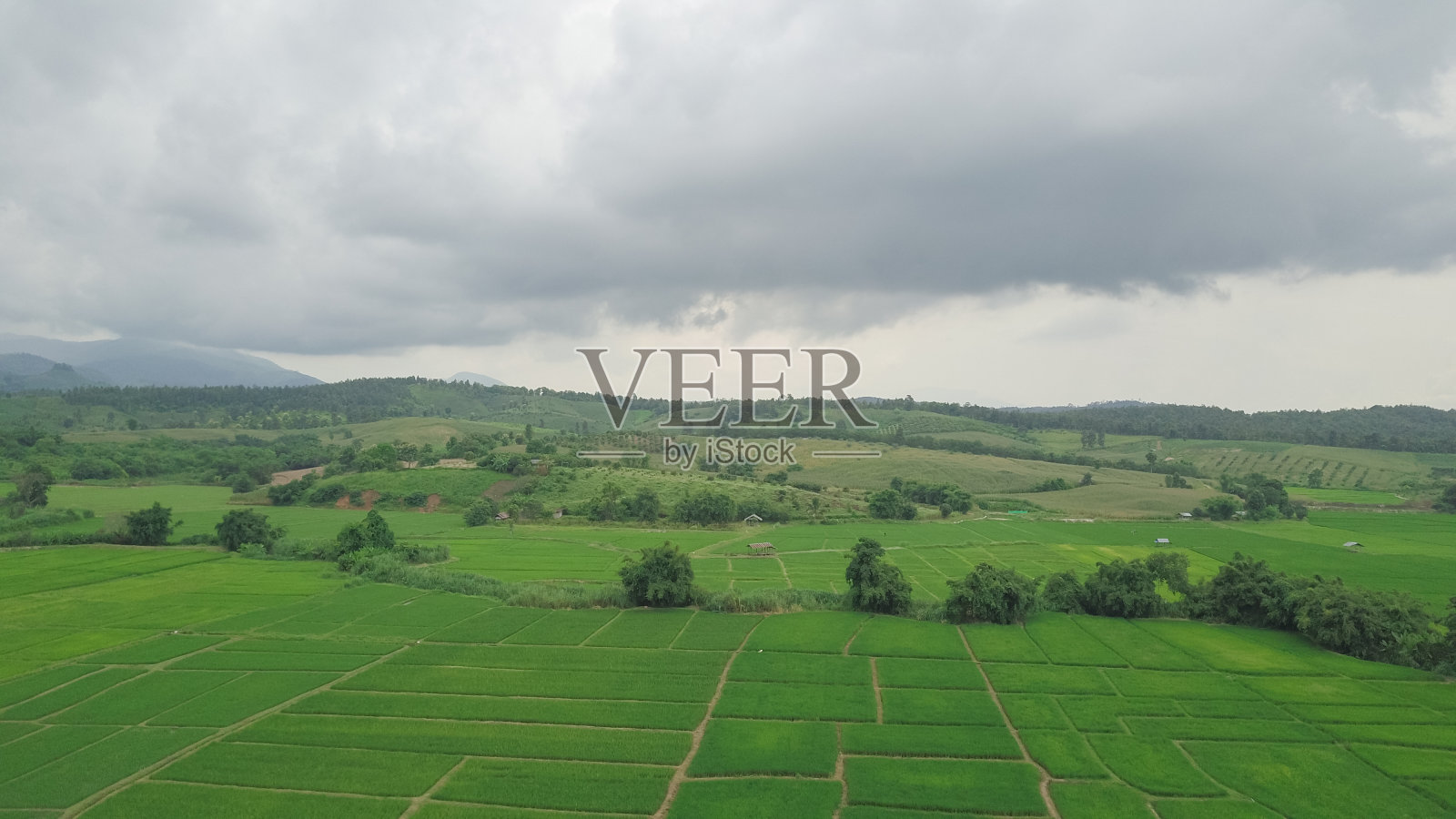 自然背景的棕榈树和景观从俯视图照片摄影图片