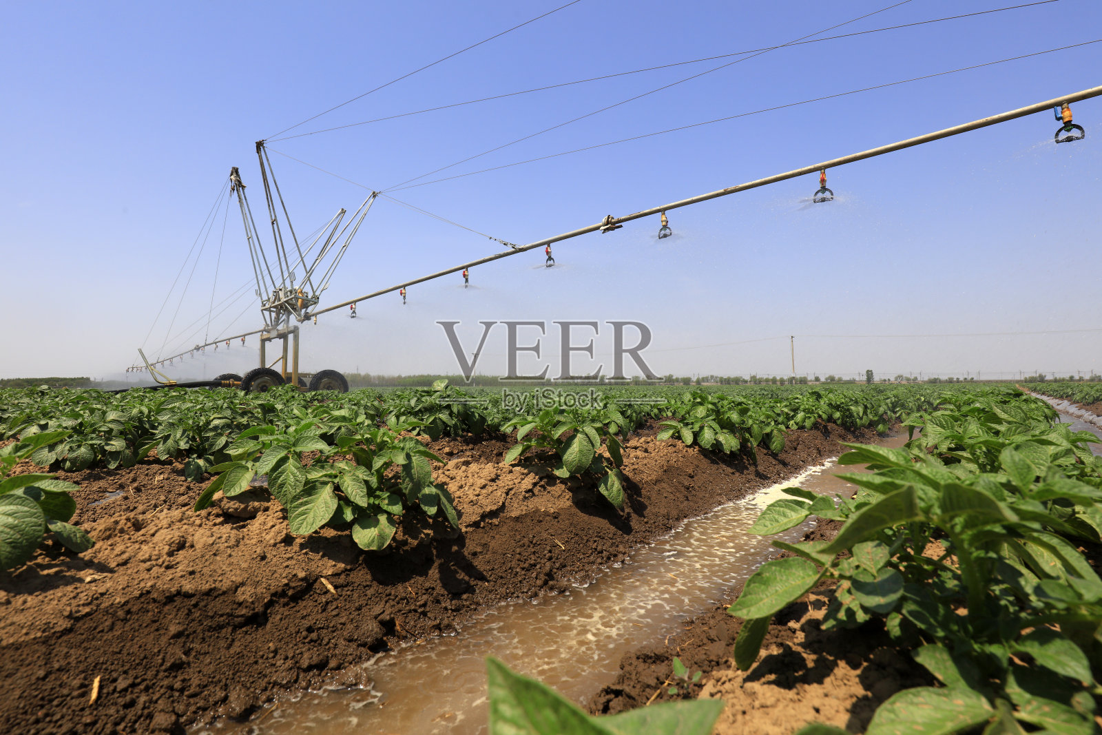 自走式高间隙喷雾器照片摄影图片