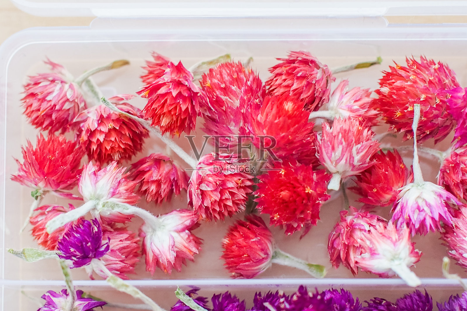 家里做的干花照片摄影图片